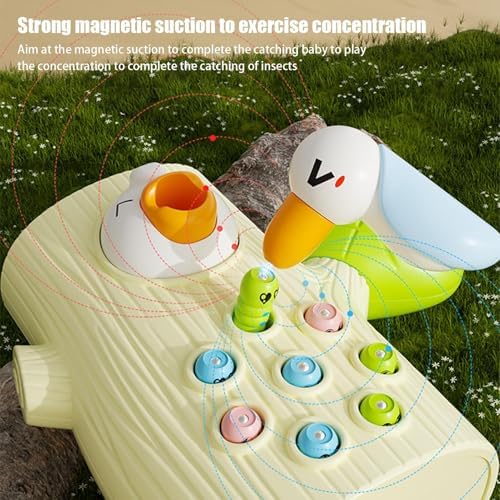 Schreiner Vogelspielzeug – Magnetisches Labyrinth für kleine Kinder, Kreatives Lernen und Spielen