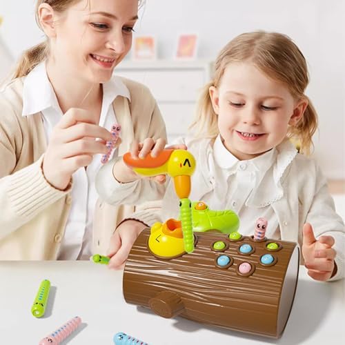 Schreiner Vogelspielzeug – Magnetisches Labyrinth für kleine Kinder, Kreatives Lernen und Spielen