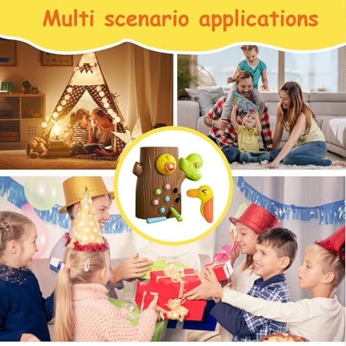 Schreiner Vogelspielzeug – Magnetisches Labyrinth für kleine Kinder, Kreatives Lernen und Spielen